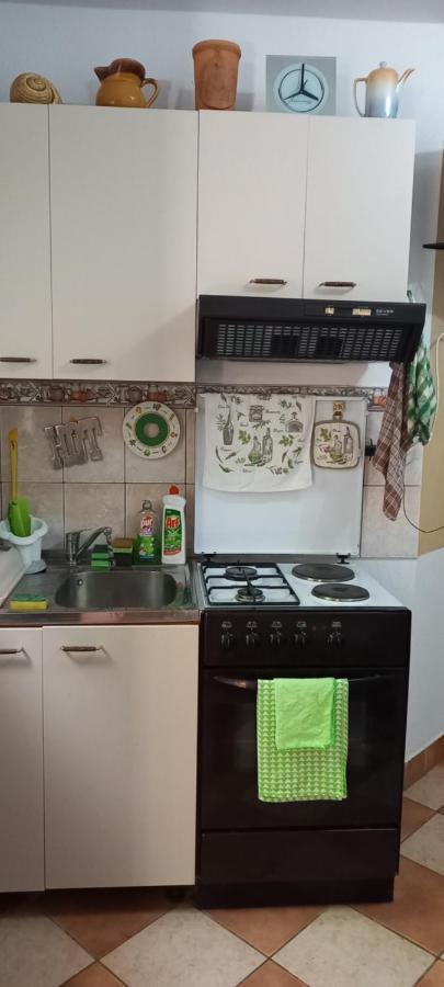 Apartmani Kunjasic Trstenik  Exterior photo