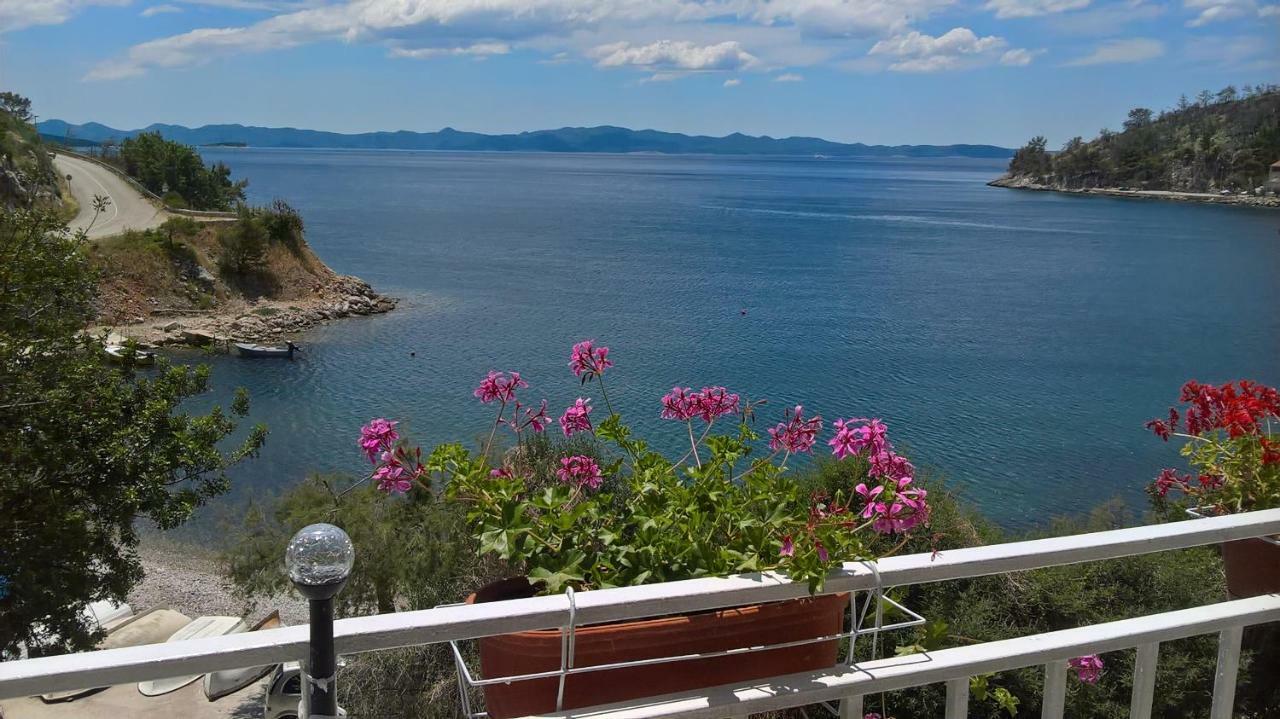 Apartmani Kunjasic Trstenik  Exterior photo